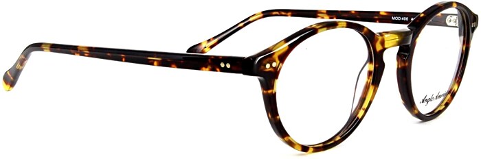 Anglo American Optical 406 45