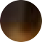tortoiseshell