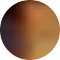 brownwhite