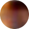 brownwhite