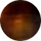tortoiseshell