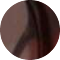 tortoise
