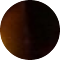 tortoiseshell