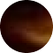 tortoiseshell