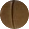 tortoise