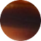 Tortoiseshell (CC-AH)