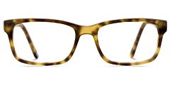 Jack & Francis Leroy Hazel Tortoise
